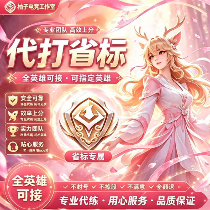 王者荣耀代练陪练排位上分巅峰小游戏代练（新）