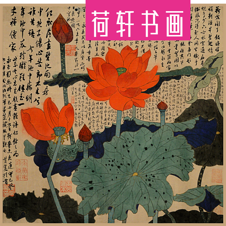 国画荷花斗方幅黄永玉荷花开了限量版画卧室儿童房装饰画客厅挂画图片