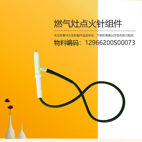 Q125B-Q889-QL300B-QL501-QL507B-QL500美D燃气灶点火针组件QL305