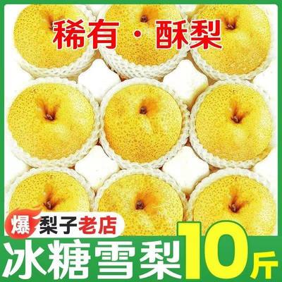 【超甜现货】正宗砀山酥梨新鲜水果薄皮梨子梨整箱批发彩箱礼盒10