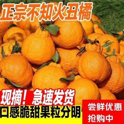 正宗四川不知火丑橘新鲜5斤整箱水果当季粑粑丑八怪柑橘耙耙桔子9