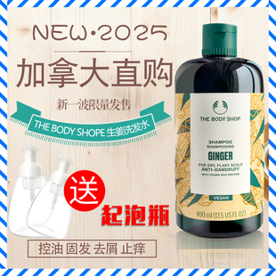 现货】加拿大THE BODY SHOP美体小铺生姜洗发水无硅油控油400ml