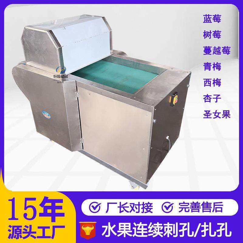 果脯蜜饯杏子前刺孔机DRD 水果工处加理蔓越扎莓孔机,清洗/食品/商业设备,果蔬加工设备,淘宝优惠券,粉丝福利购,淘宝优惠卷