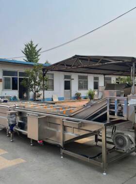 ZEY土豆秋洗葵清设备净菜成套气泡洗清机 商用车厘子果蔬清洗 机