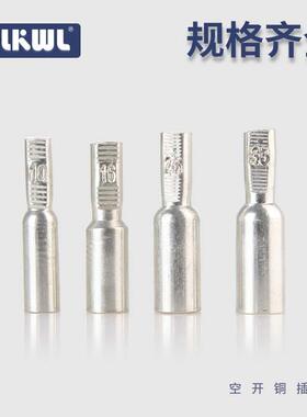 气开关鼻子紫铜镀DTD-6(6锡线耳10/136/25/5平方小型铜断路器接线