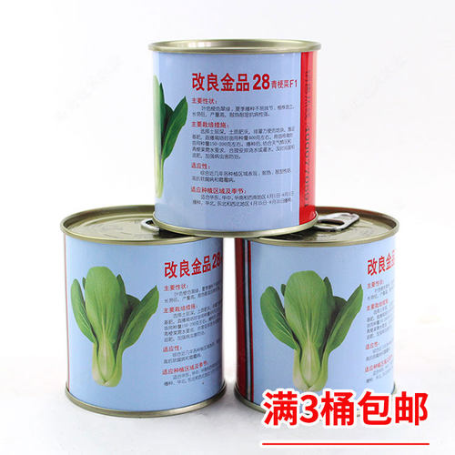 28青梗菜菜种种子白菜上海青