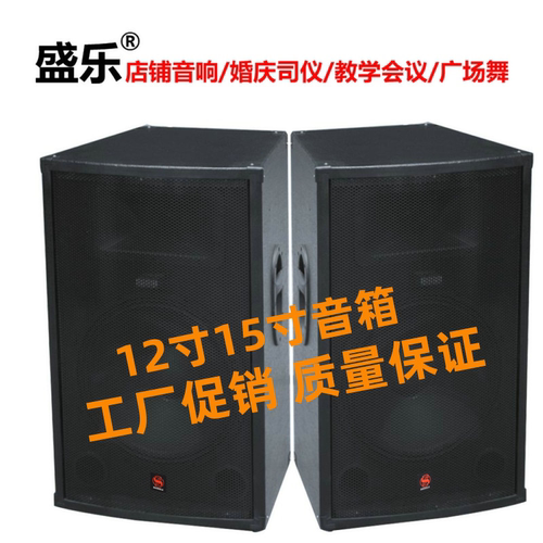 大功率1215寸专业舞台音箱KTV