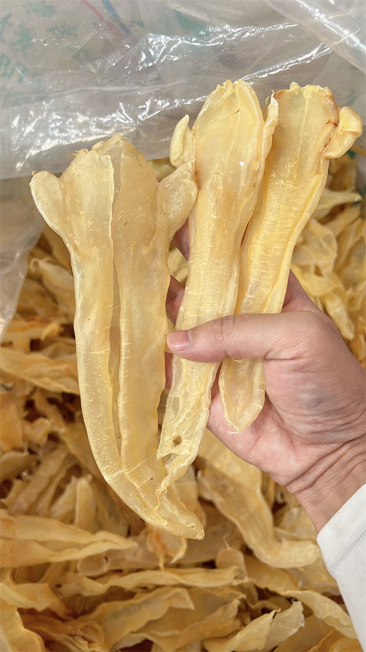 22头北海公胶 巴西公 鱼胶花胶正品干货