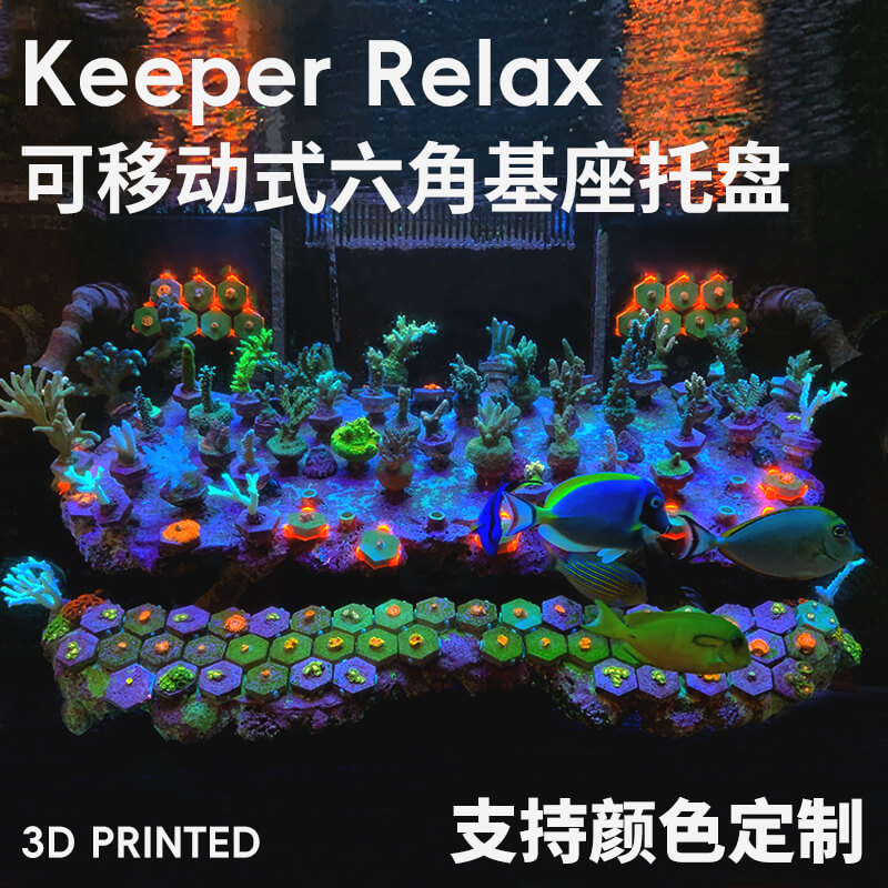 六角珊瑚基座断枝纽扣可移动式繁殖支架便携基座托盘图片