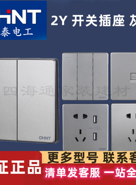 正泰2Y开关插座灰色单开多控五孔双开双控三孔空调插电脑墙壁面板