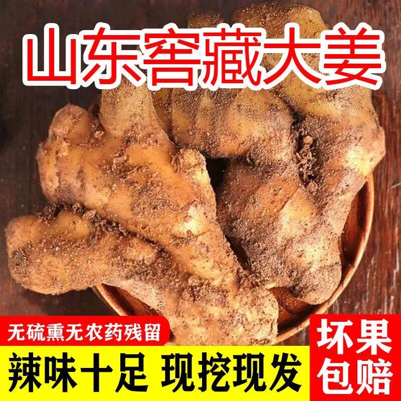 山东窖藏大黄姜10斤新鲜生姜老姜沙姜月子姜包邮当季农家现挖蔬菜