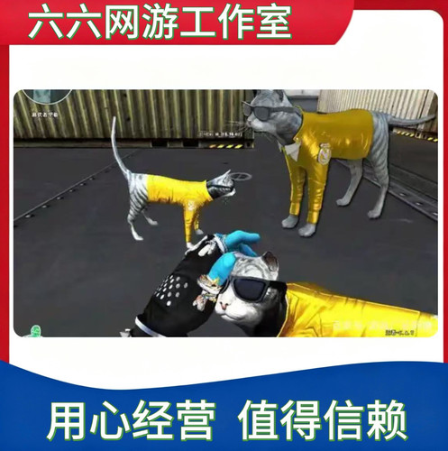CF穿越火线永久步枪王者cat猫猫枪黄金
