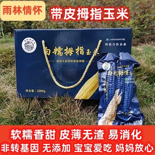 雨林情怀拇指玉米带皮带叶新鲜非转基因速食早餐低脂真空礼盒送礼