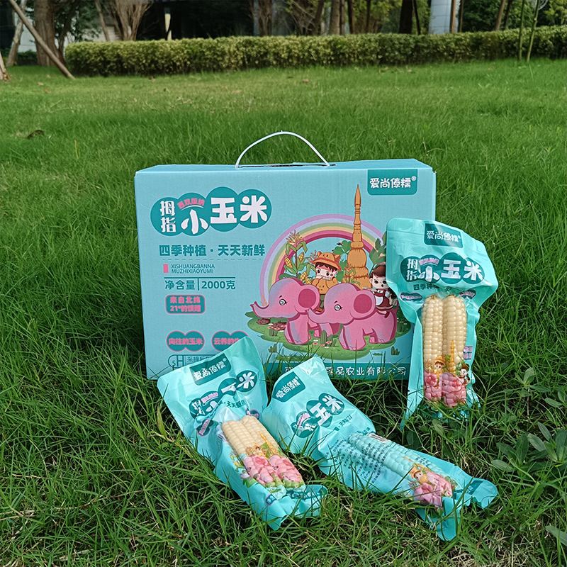 西双版纳拇指玉米爱尚傣糯粗粮