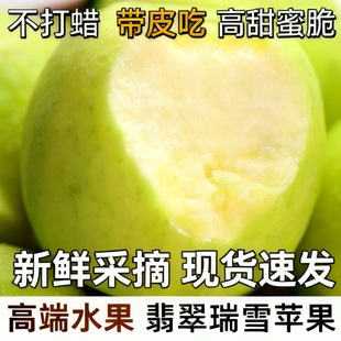 瑞雪苹果现摘现发纯甜花香味苹果新鲜水果好吃青苹果10斤产地直发