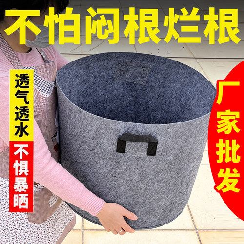 花盆加仑青山盆特大阳台种花楼顶种菜神器透气果盆种植箱超大户外