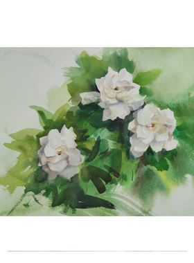纯手绘栀子花水彩画ins风格花卉