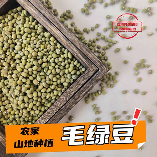 【25年新绿豆】精选农家绿豆天然健康粗粮毛绿豆绿豆汤夏季糖水