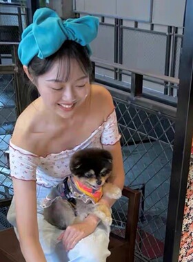 晚晚同款针织蝴蝶结发箍宽边发带孔雀蓝绿色头饰张天爱洗脸束发带