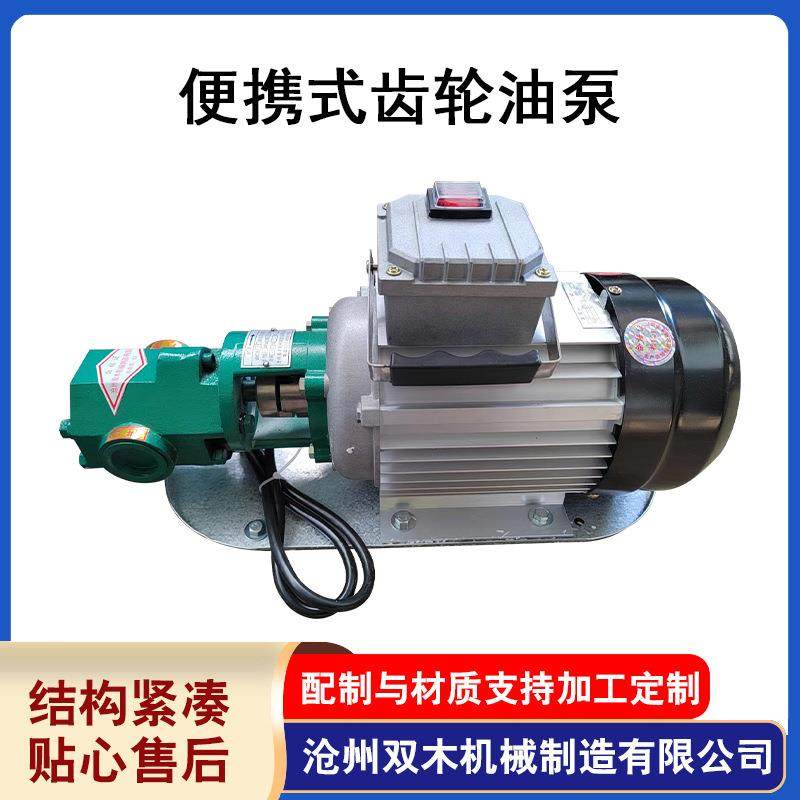 便携式齿轮油泵小型电动抽油泵柴油机油自吸齿轮泵小型不锈钢泵 - 封面