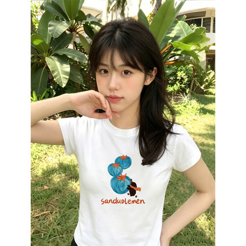 白色短袖t恤女装2026新款今年流行的爆款夏季高级感chic别致上衣