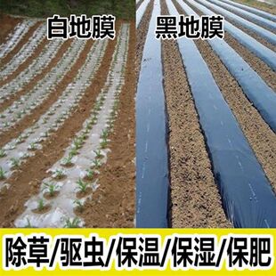 农用地膜薄膜西瓜种菜农业种植白色除防草辣椒蔬菜覆盖膜大棚育苗