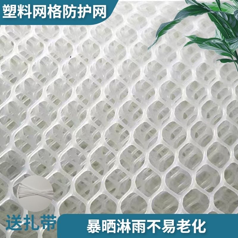 5米阳台加厚塑料网塑料万能网猫咪防逃网防掉落网防坠鸡鸭养殖网