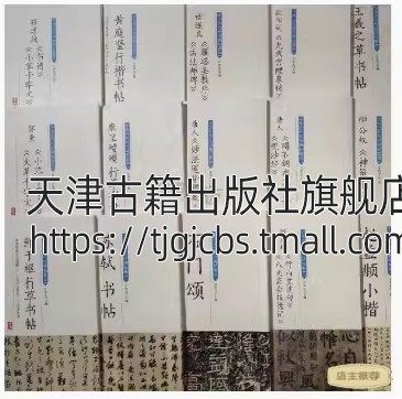 中华历代传世碑帖集萃全集(全套39册)16开原碑帖字序排列名家名碑临摹礼器碑乙瑛碑泰山经欧阳询九成宫赵孟頫书帖颜真卿碑帖图书