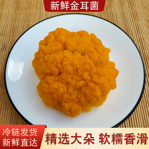 新鲜金耳菌云南特产快速出胶软糯