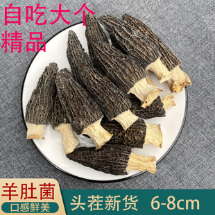 25年新货羊肚菌 6-8cm大个云南特产新鲜羊肚菌菌菇适合煲汤味美