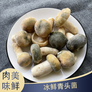 包邮 25年新鲜青头菌云南山珍特产 精选高品质骨朵蘑菇绿豆菌顺丰