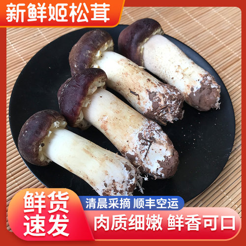 新鲜姬松茸 精选云南特产赤松茸蘑菇菌菇500g顺丰包邮肉嫩鲜美煲