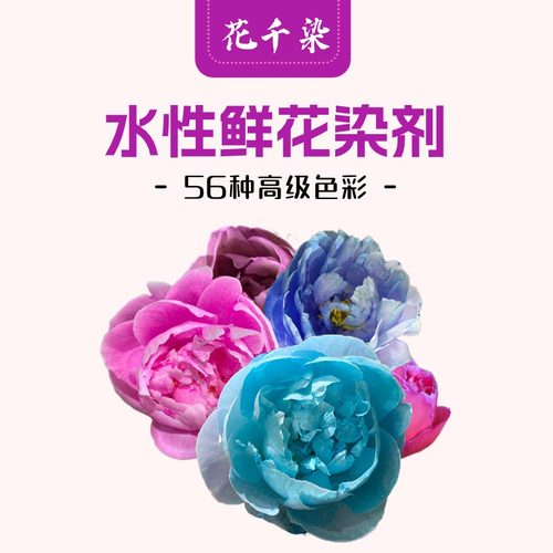 水性吸染鲜花染剂花千染不伤花
