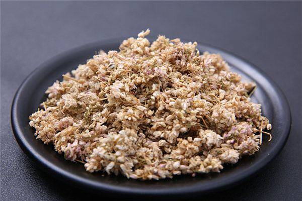 内蒙纯野生扎麻麻花炝面炝锅 清水河土特产扎蒙蒙花散装调味品40g