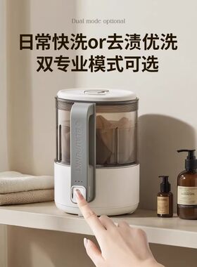 蓝宝波轮内衣消毒清洗机