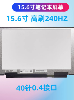 适用于华硕ROG 魔霸5 6 G513R/Q GU502L GA503R/Q M G533Z/W 屏幕