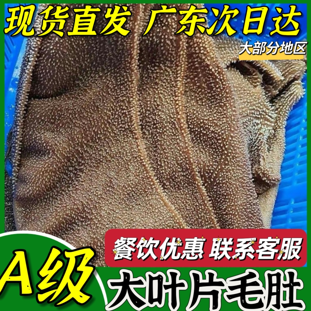 A级毛肚大叶片5斤装新鲜牛百叶毛肚商用火锅食材牛肚麻辣烫串串