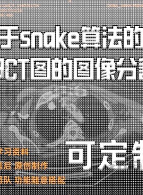 基于snake算法的肺部CT图的图像分割/数据分割技术