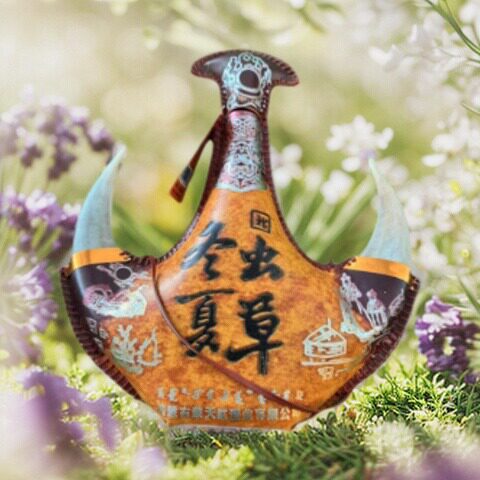 冬虫夏草内蒙古皮囊皮壶特产羊角42度500毫升