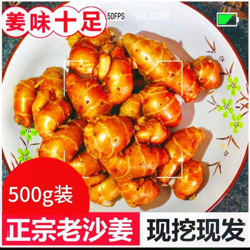 直销新鲜沙姜浓香三奈黄三奈子三赖特产山辣姜老生姜蔬菜水果调味