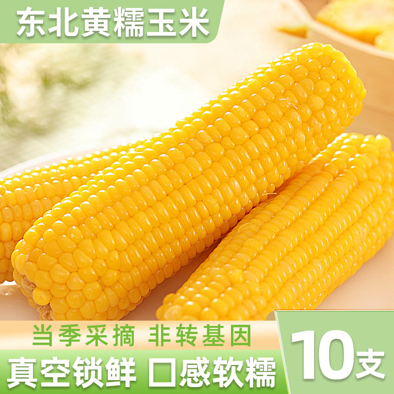 东北黄糯玉米真空10支装