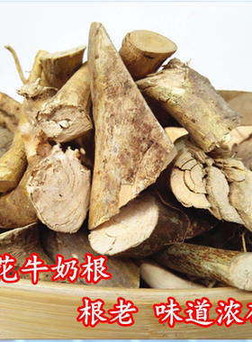 正宗野生牛奶根500克牛乳树白花老火靓汤料河源特产非五指毛桃根