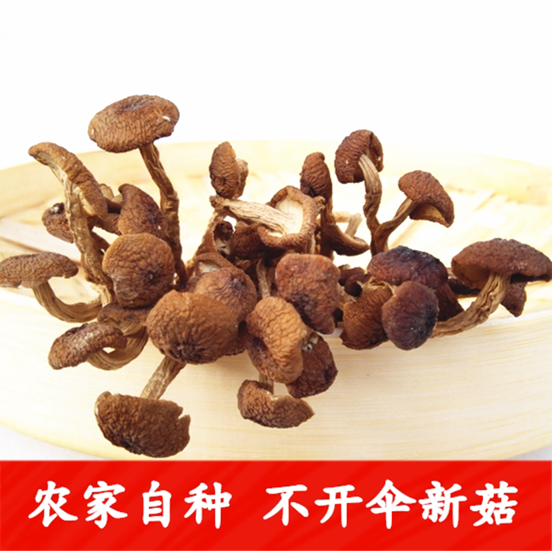 茶树菇干货新鲜无硫汤料农家不开伞农家精选散装食用菌河源特产
