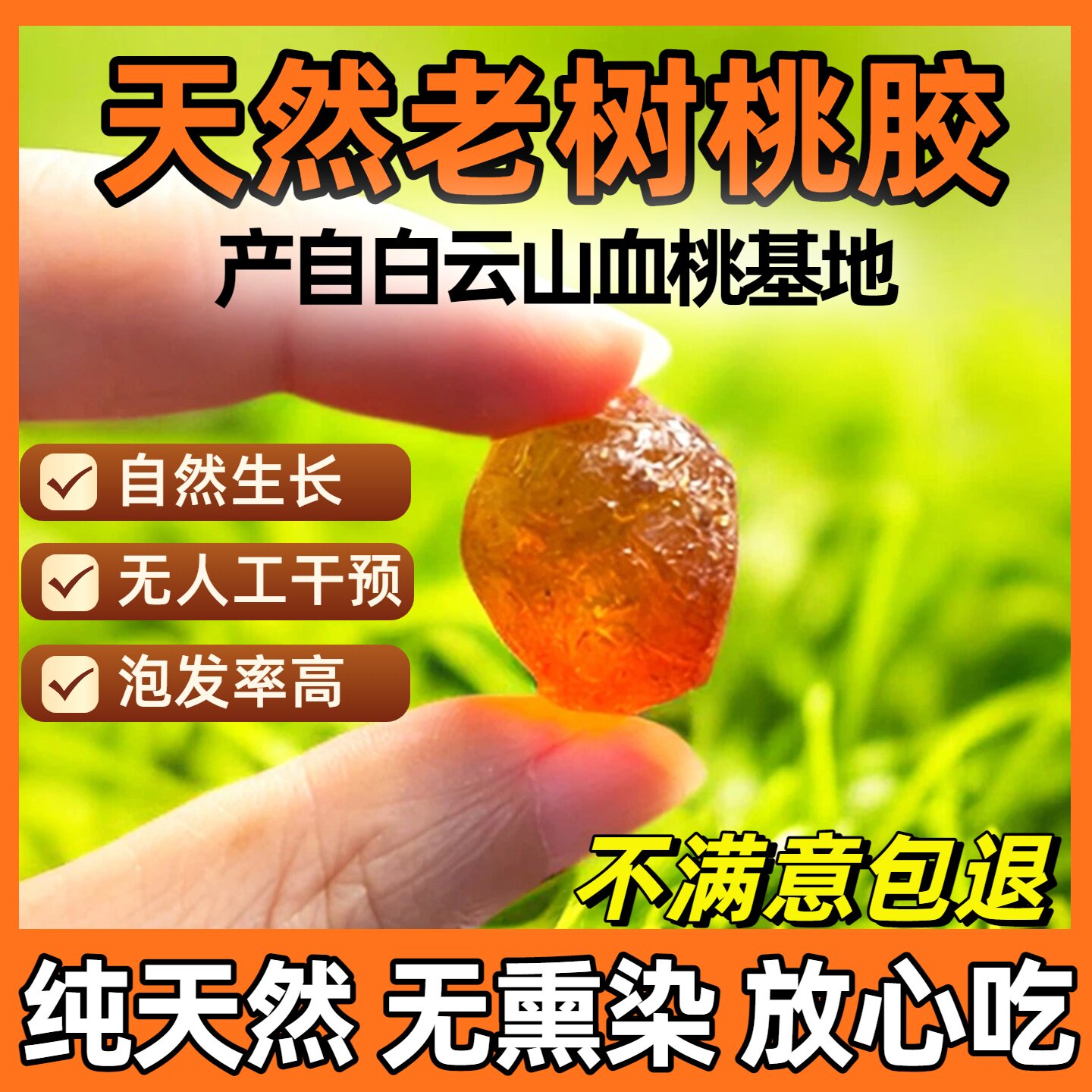 白云山桃胶纯天然无杂精修野生食用养颜可搭配银耳红枣干货