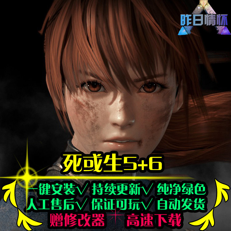 死或生5/6 FTG格斗横版对战好玩对打硬核怀旧PC电脑单机游戏合集