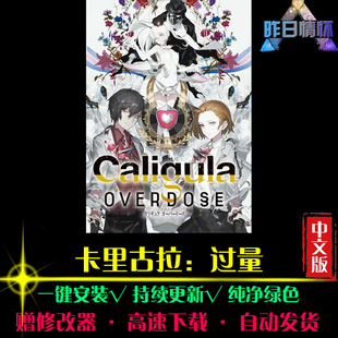 卡里古拉过量RPG中文日韩国风角色扮演经典感人PC单机游戏合集