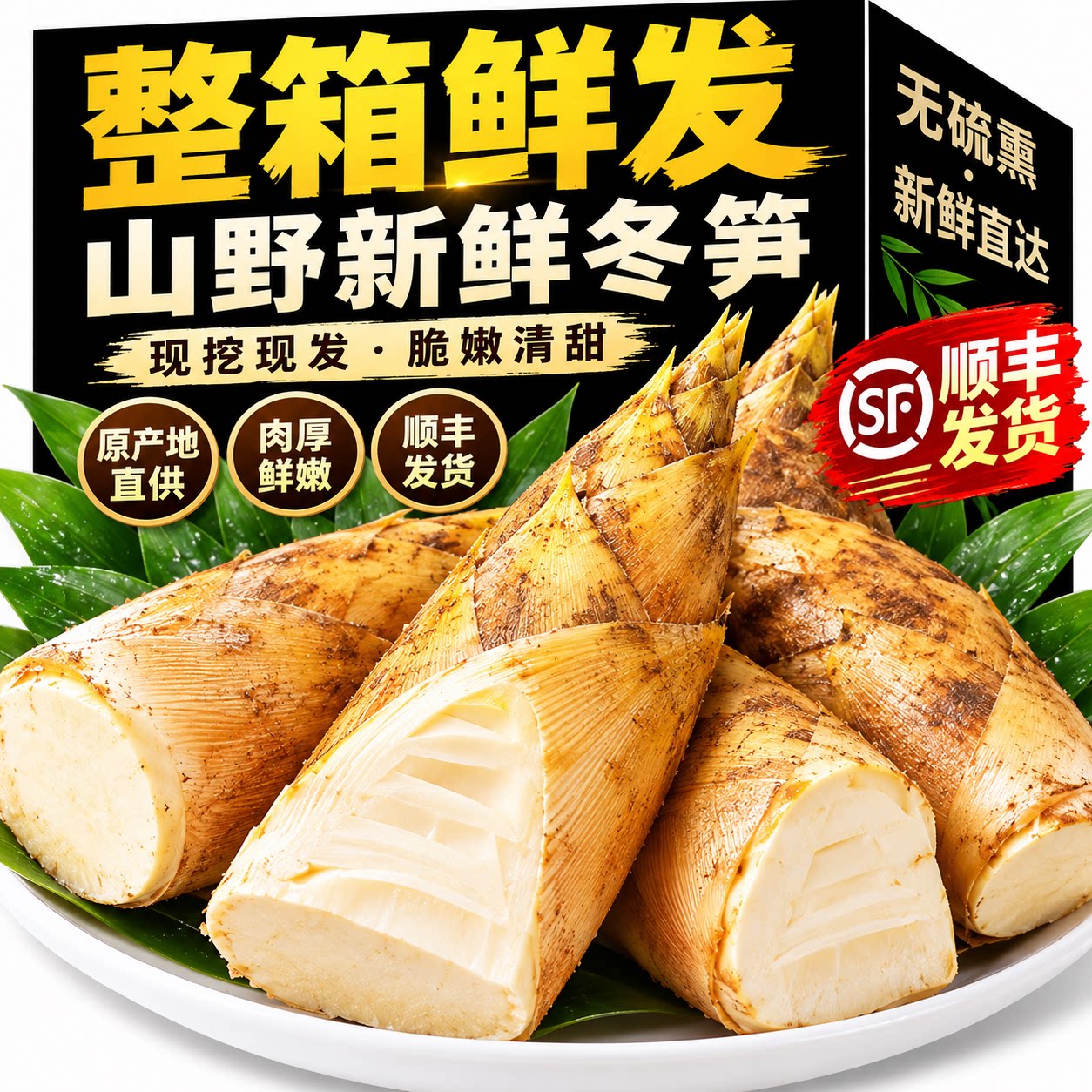 冬笋新鲜现挖现发云南野生冬笋2026年毛笋大鲜笋楠竹笋口感鲜嫩