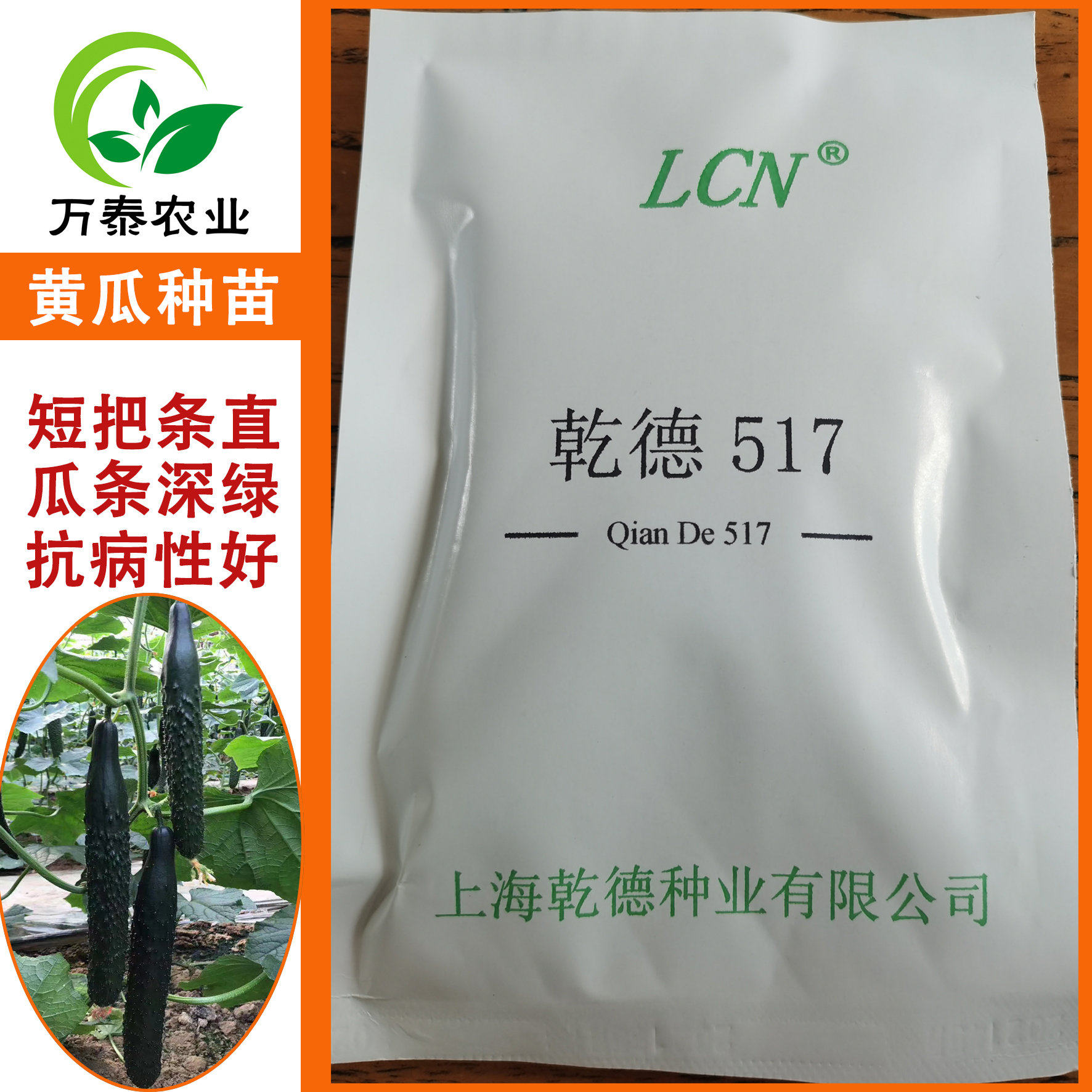 乾德517荷兰进口强雌黄瓜种子蔬菜种子/种苗