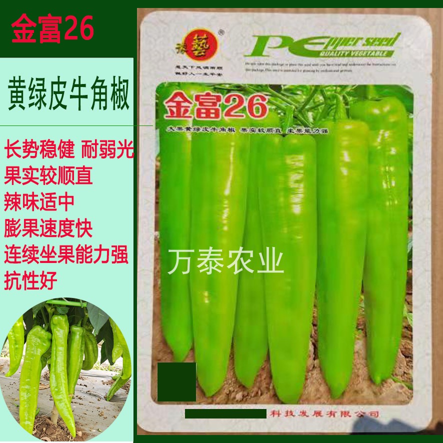 金富26辣椒种子黄绿皮大果牛角椒尖椒种子抗性好耐弱光辣味适中