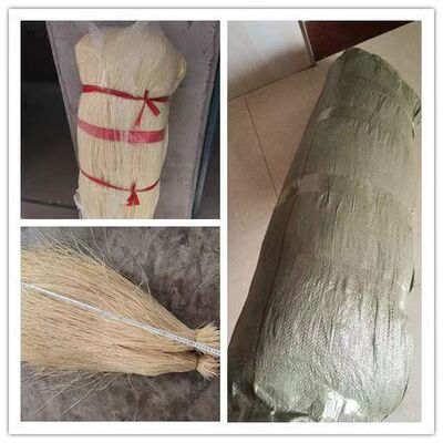 灯芯草新货白干原产地无杂质
